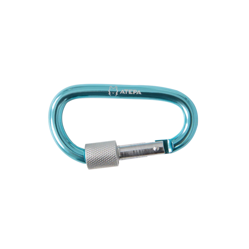 ATEPA Screw Lock Camping Carabiner set of 10 - Image 3